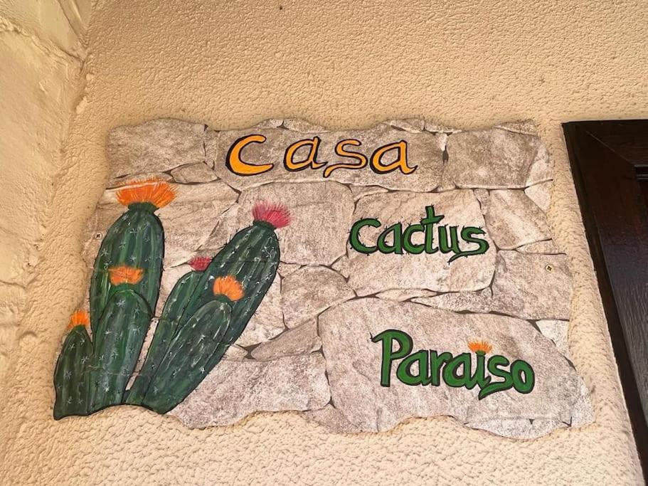 Casa Cactus Paraiso Parque Holandes Extérieur photo