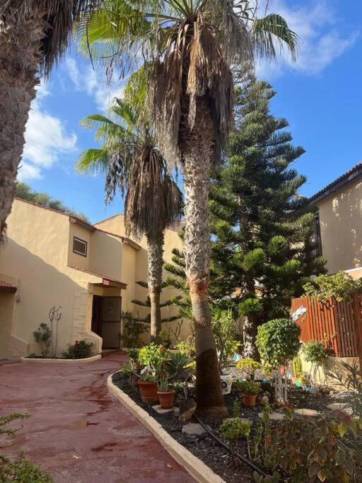 Casa Cactus Paraiso Parque Holandes Extérieur photo